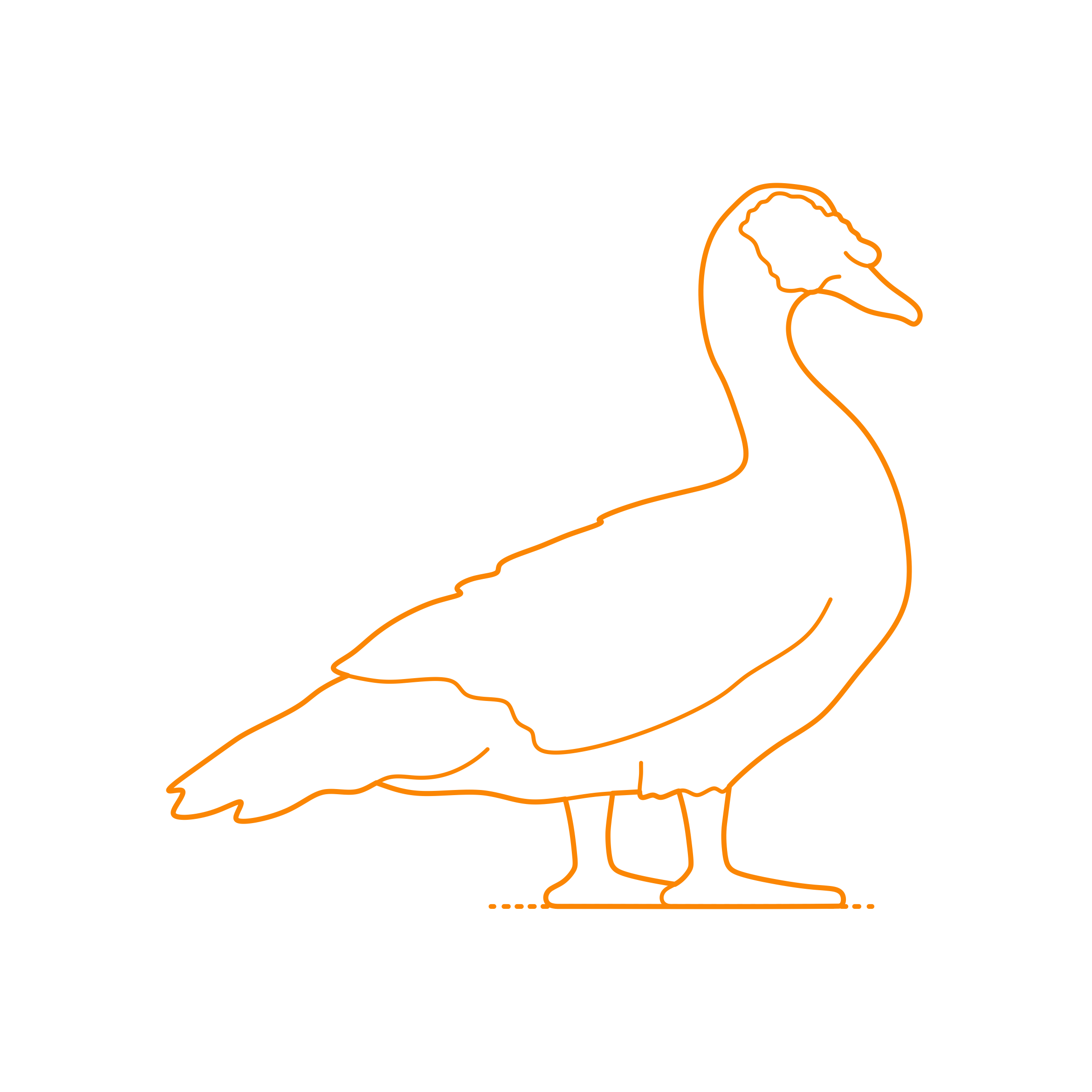 Animals Waterfowl Muscovy Duck Craft Design Svg File Free Vectors